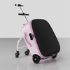 K1 Luggage Pinke